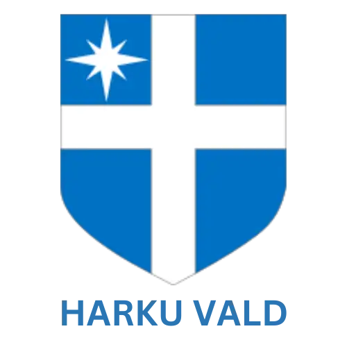 Hõbemüts ja sinine vapp, Eesti lipu värvid.